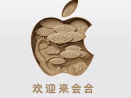 开发者质疑苹果 iOS 18 增强视觉搜索功能：默认启用，担忧泄露用户隐私